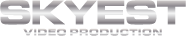 SKYEST OÜ Logo